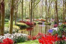 Photo of Jardín Botánico Photo of Jardín Botánico