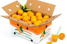 Photo of Naranjas Ribera del Júcar Photo of Naranjas Ribera del Júcar