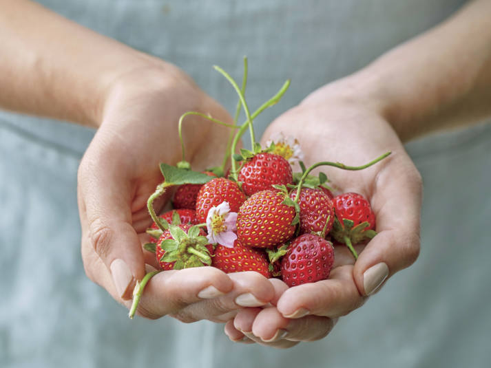 STRAWBERRY EXPLOSION! By Helen Westwater ‘La Ola Fresca’ • 24/7 Valencia